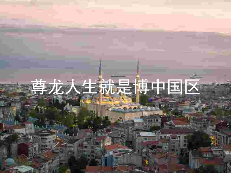 尊龙人生就是博中国区