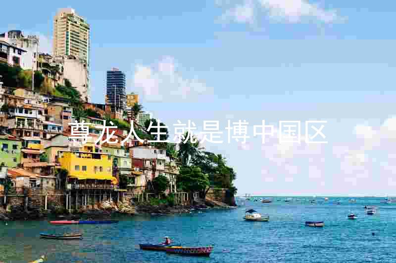 尊龙人生就是博中国区