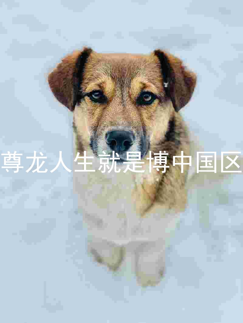 尊龙人生就是博中国区