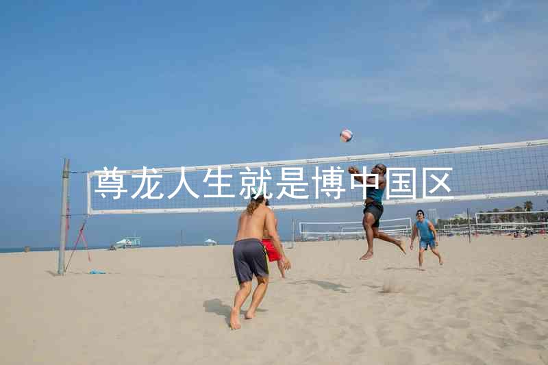 尊龙人生就是博中国区