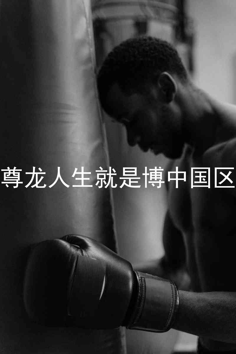 尊龙人生就是博中国区