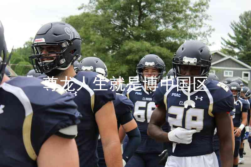 尊龙人生就是博中国区