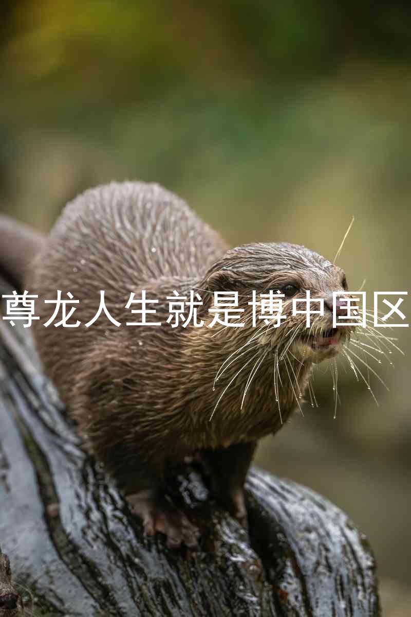 尊龙人生就是博中国区