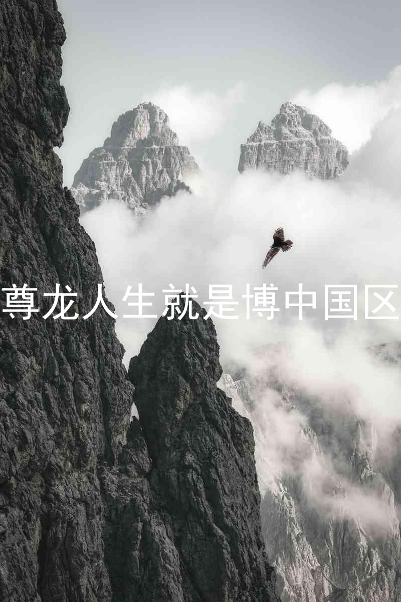 尊龙人生就是博中国区