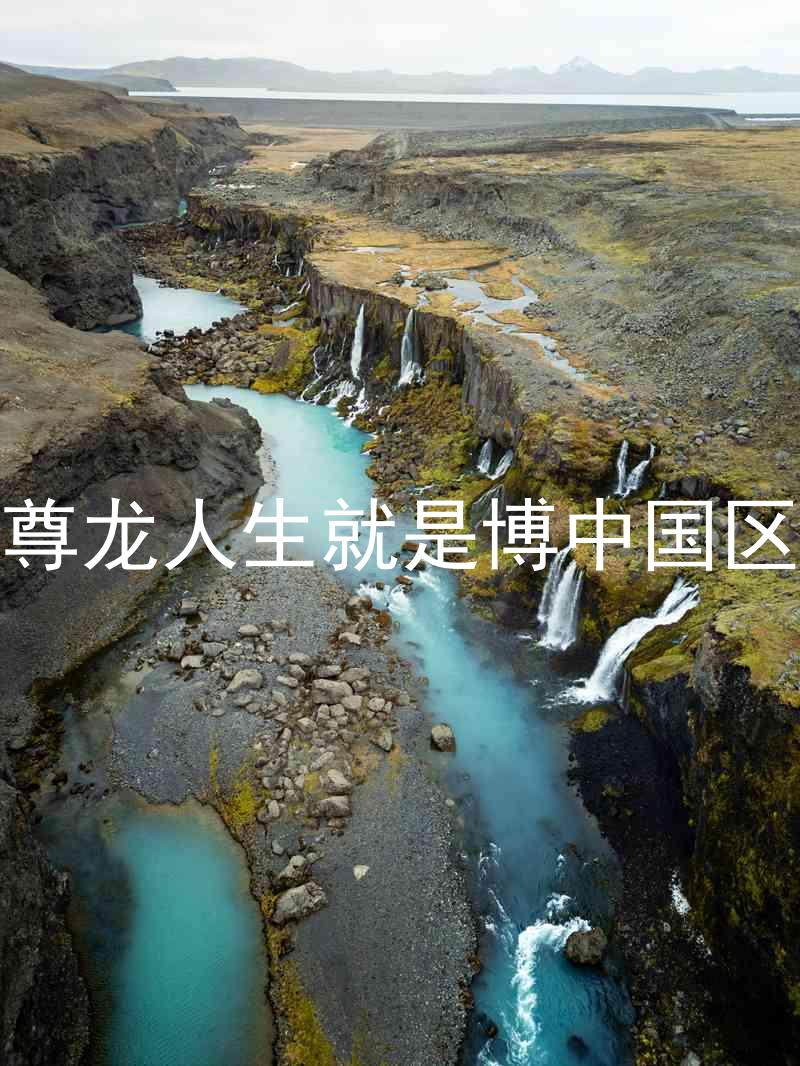 尊龙人生就是博中国区