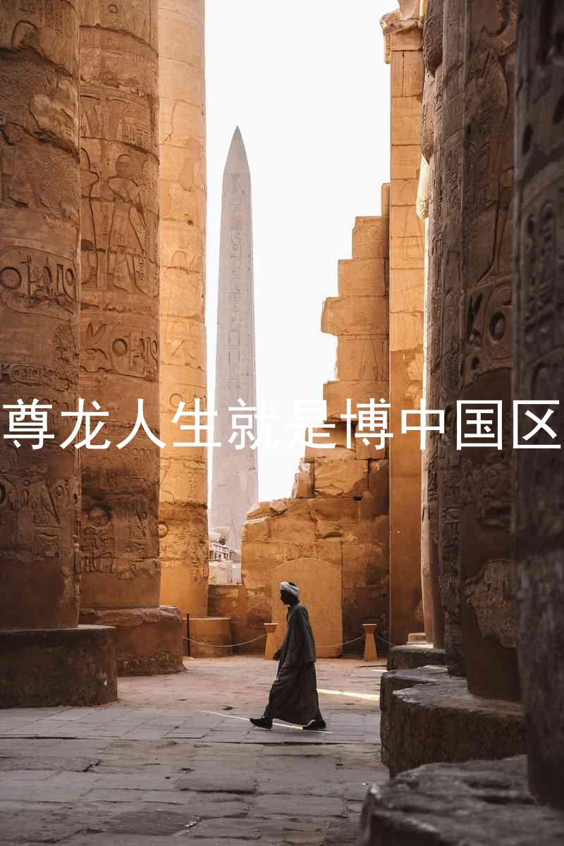 尊龙人生就是博中国区