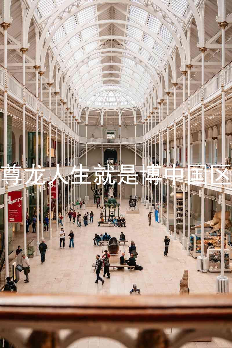 尊龙人生就是博中国区