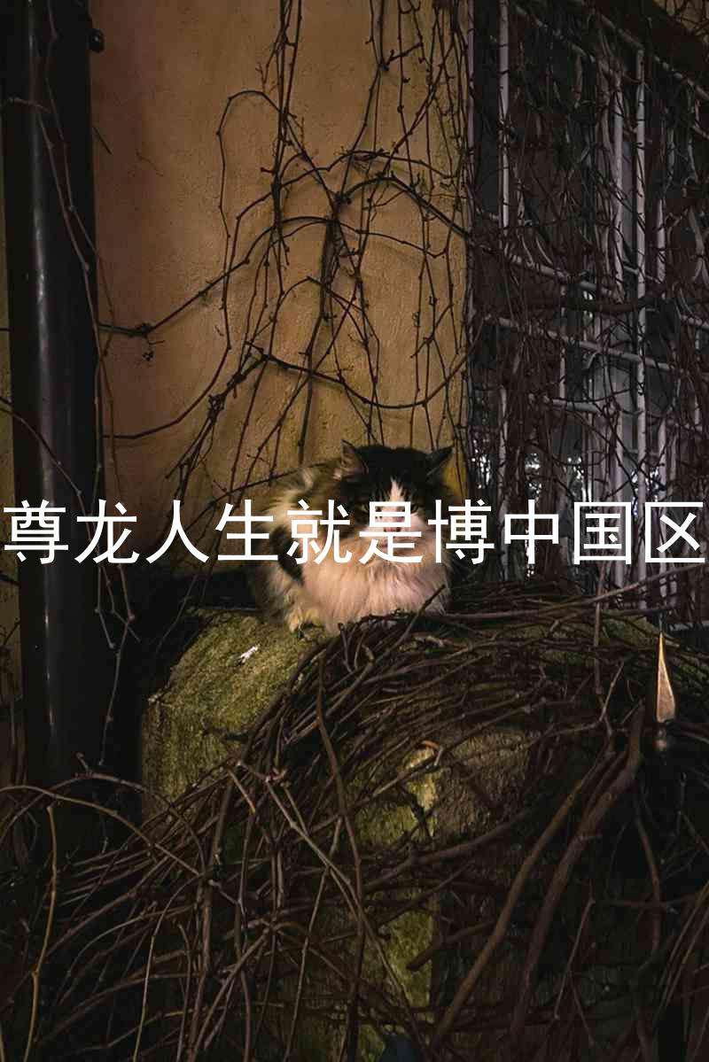 尊龙人生就是博中国区