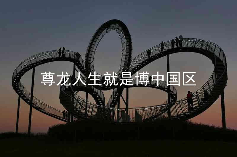 尊龙人生就是博中国区