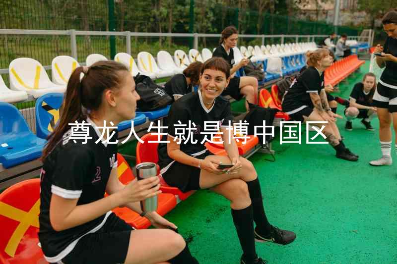 尊龙人生就是博中国区